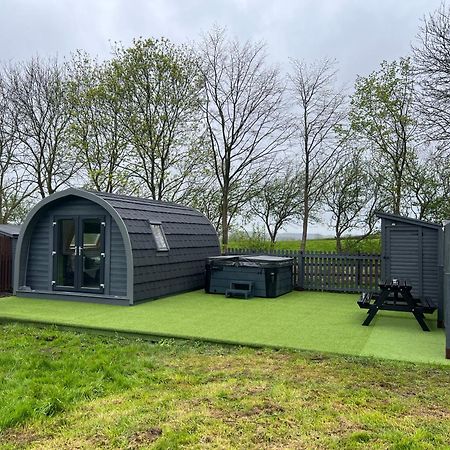 מלון Bradmore  Little Bunny Retreat מראה חיצוני תמונה